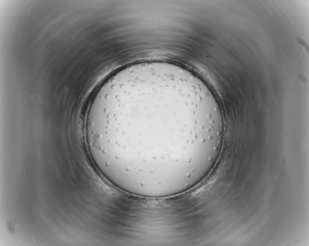 X0000099320835200805020751