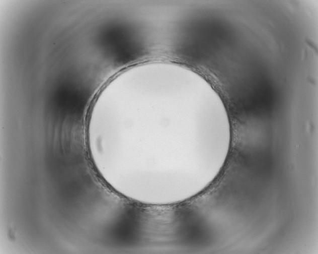 X0000099320836200805020751