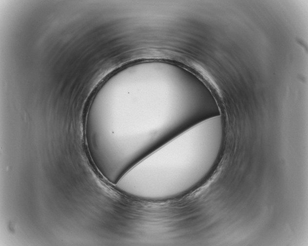 X0000099320837200805020751