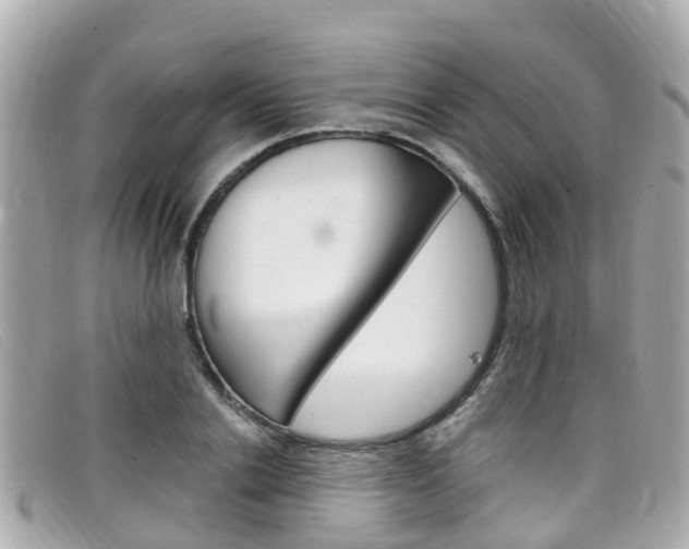 X0000099320838200805020751