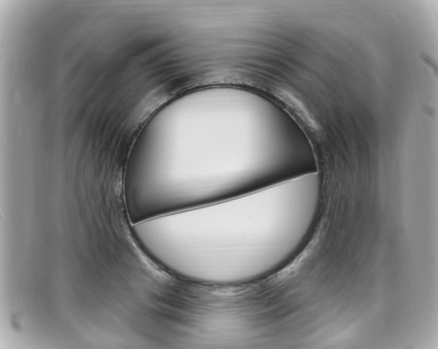 X0000099320841200805020751