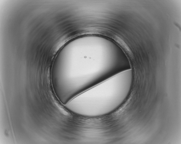 X0000099320842200805020751