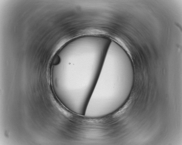 X0000099320843200805020751
