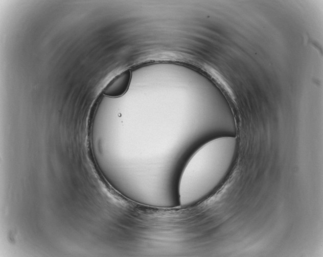 X0000099320845200805020751