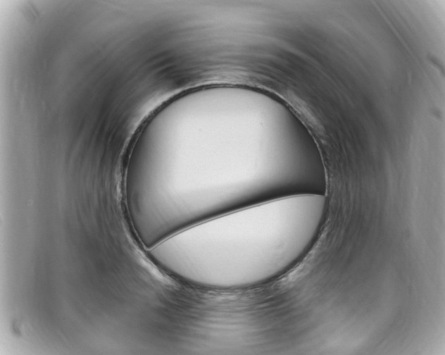X0000099320846200805020751