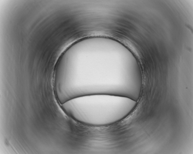X0000099320847200805020751
