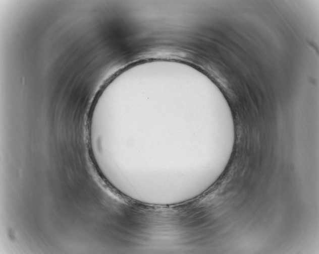 X0000099320848200805020751