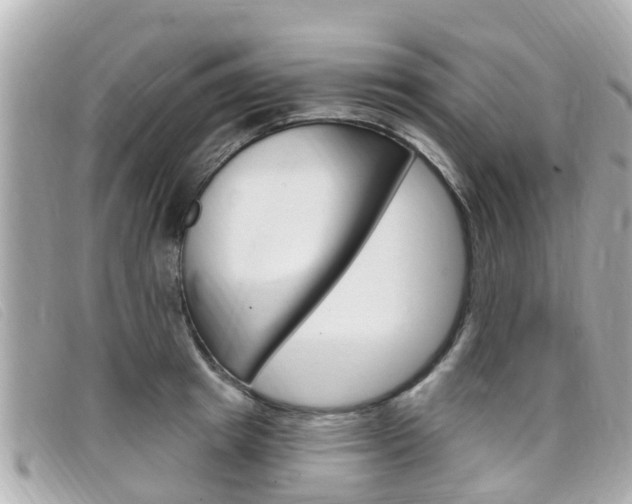 X0000099320849200805020751