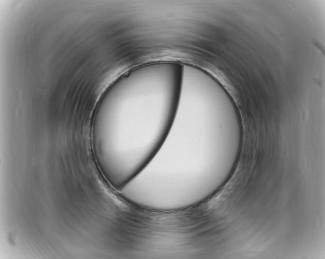 X0000099320850200805020751