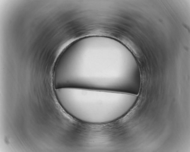 X0000099320854200805020751