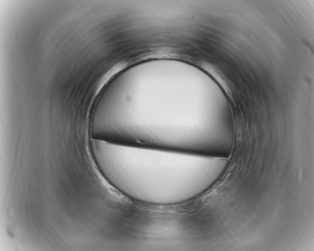X0000099320861200805020752