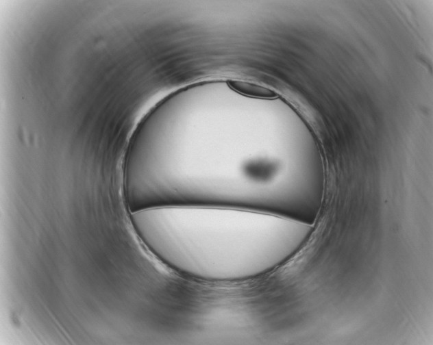 X0000099320862200805020752