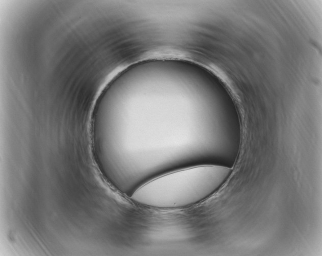 X0000099320864200805020752