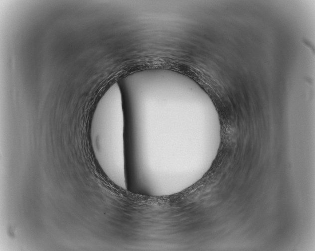 X0000099320865200805020751