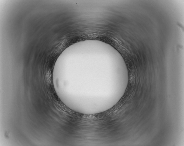 X0000099320866200805020751