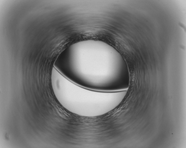 X0000099320868200805020751