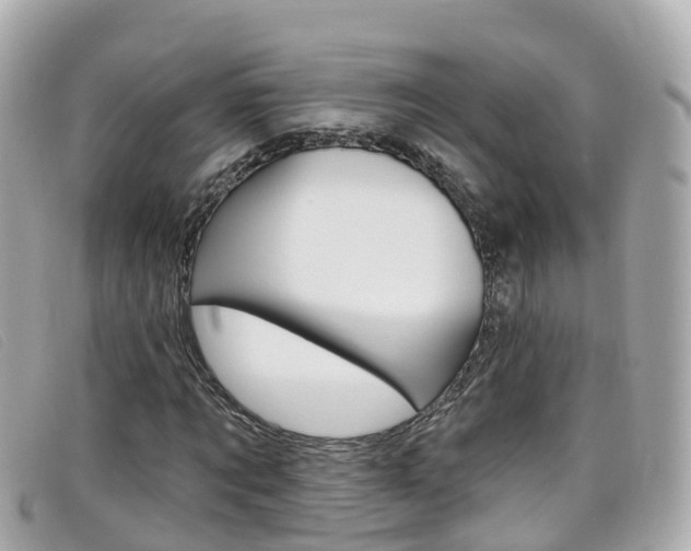 X0000099320869200805020751