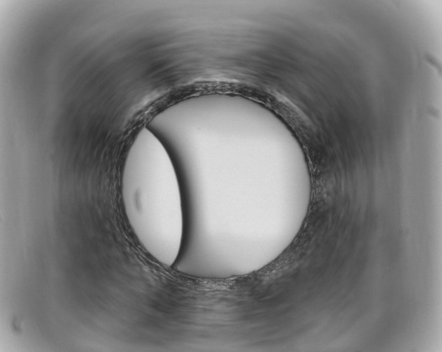 X0000099320870200805020751