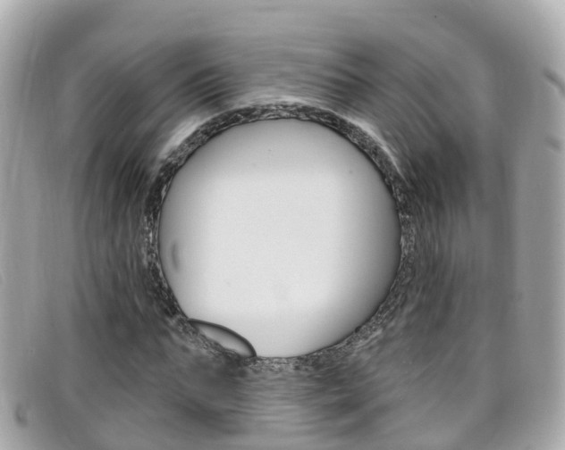 X0000099320871200805020751