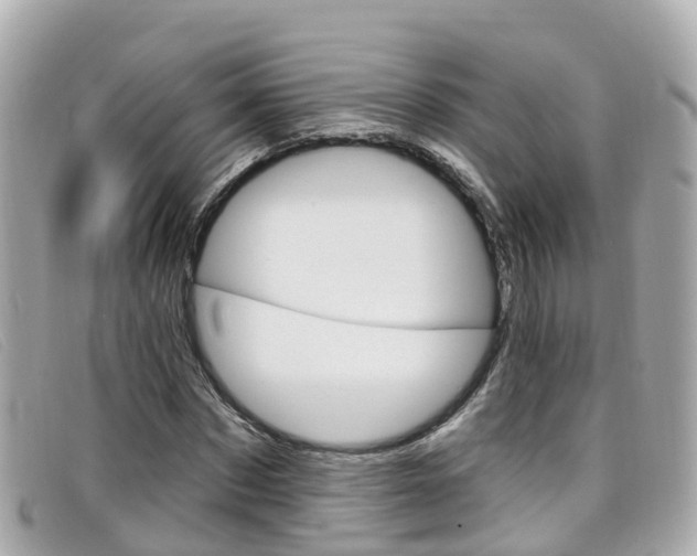 X0000099320873200805020751