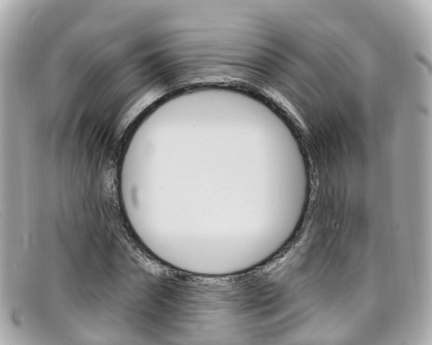 X0000099320874200805020751