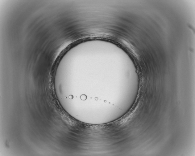 X0000099320875200805020751