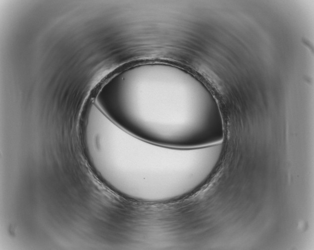 X0000099320876200805020751