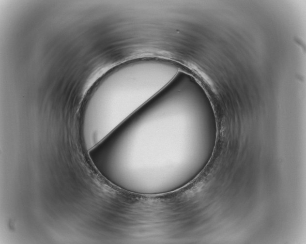 X0000099320877200805020751