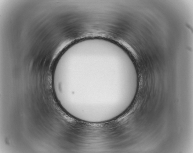X0000099320878200805020751