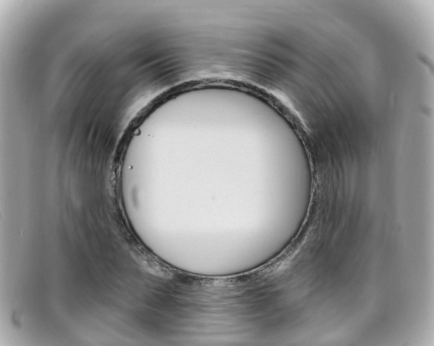 X0000099320879200805020751