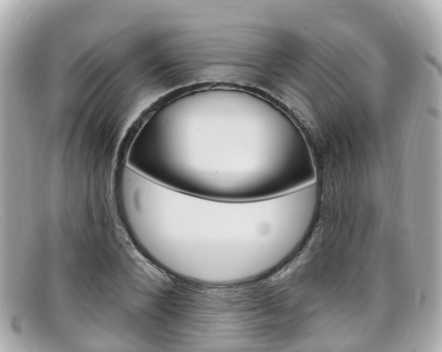X0000099320880200805020751