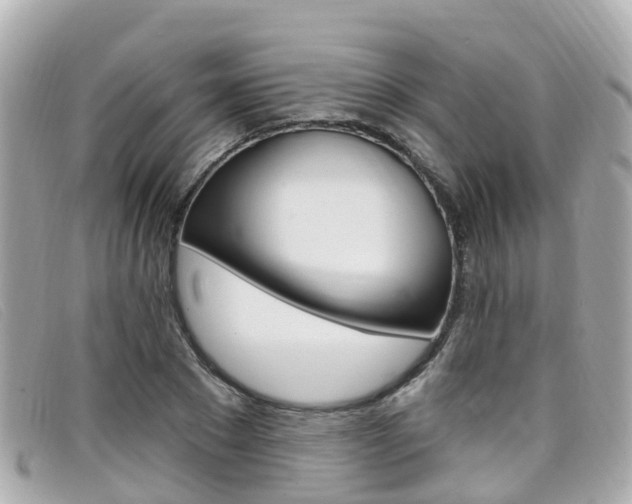 X0000099320881200805020751