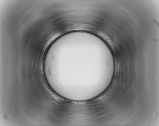 X0000099320882200805020751