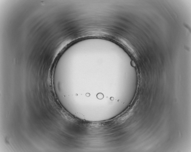 X0000099320883200805020751