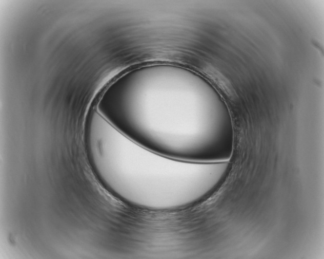 X0000099320884200805020751