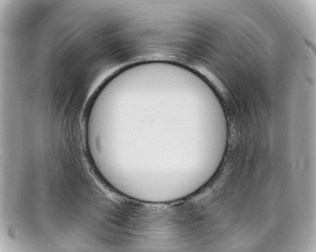 X0000099320886200805020751