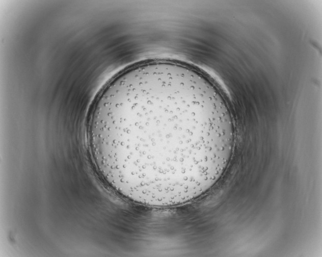 X0000099320887200805020751