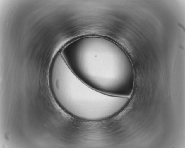 X0000099320888200805020751