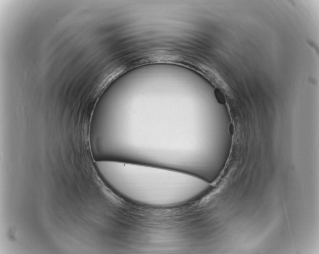 X0000099320889200805020751