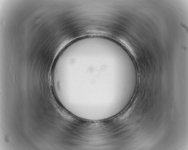 X0000099320891200805020751