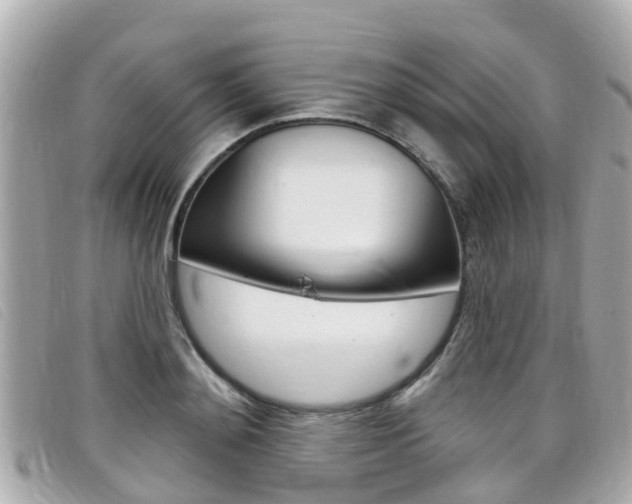 X0000099320892200805020751
