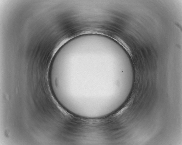 X0000099320893200805020751