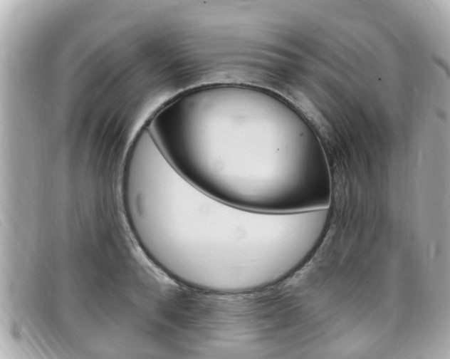 X0000099320896200805020751