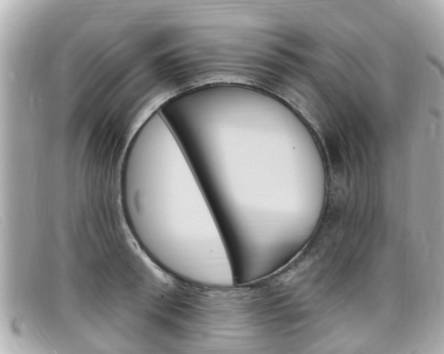 X0000099320898200805020750