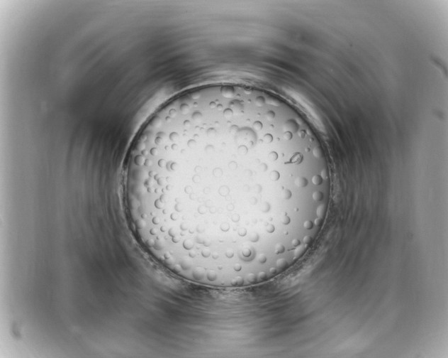 X0000099320899200805020750