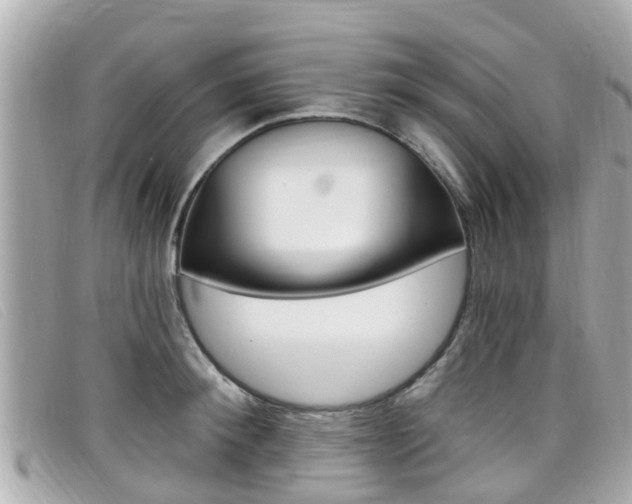 X0000099320900200805020750