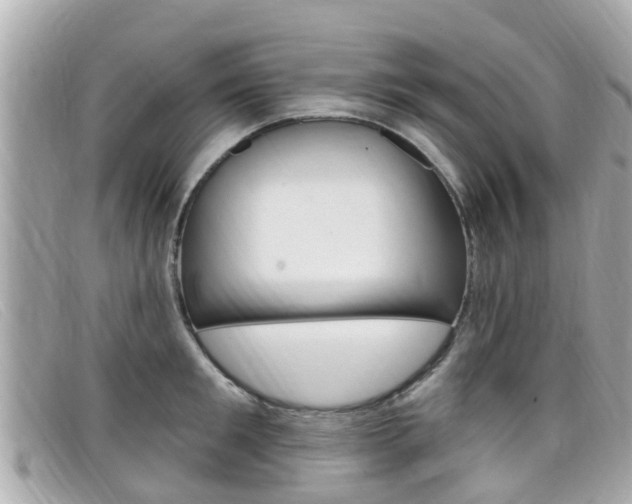 X0000099320901200805020750