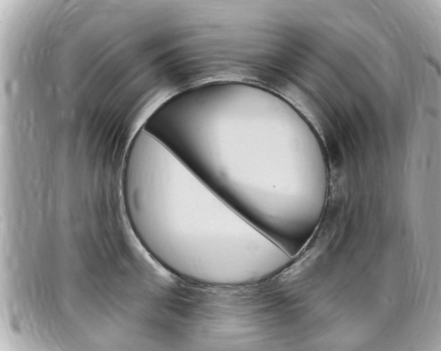 X0000099320906200805020750