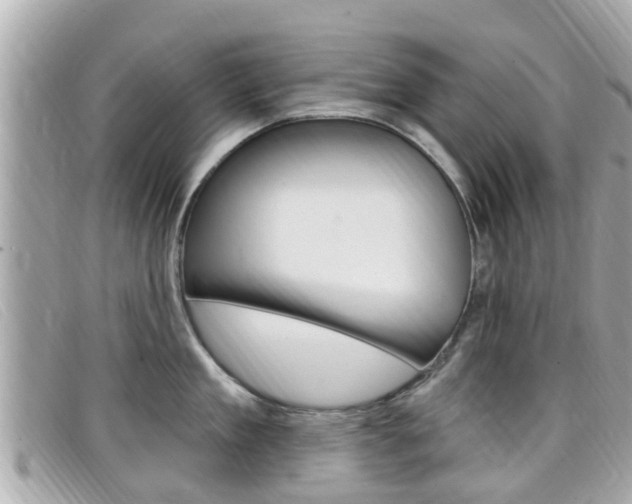 X0000099320909200805020750