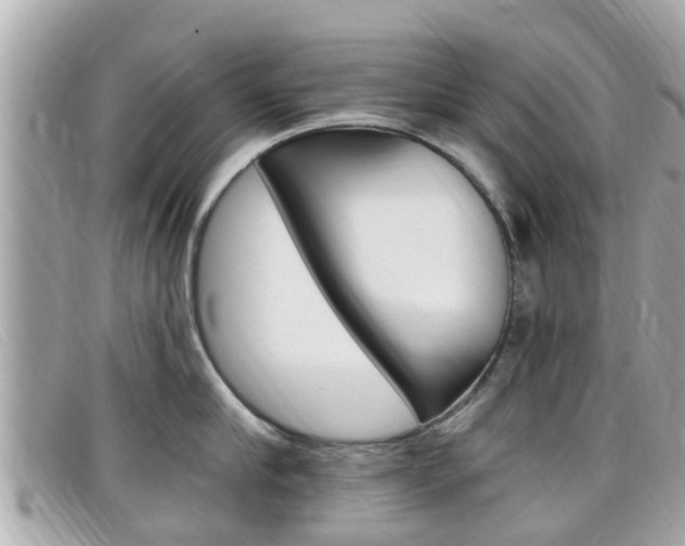 X0000099320910200805020750